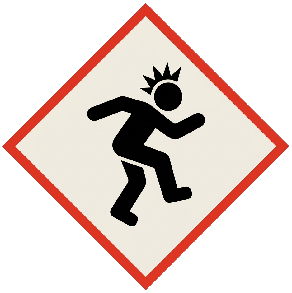 Safety Punks